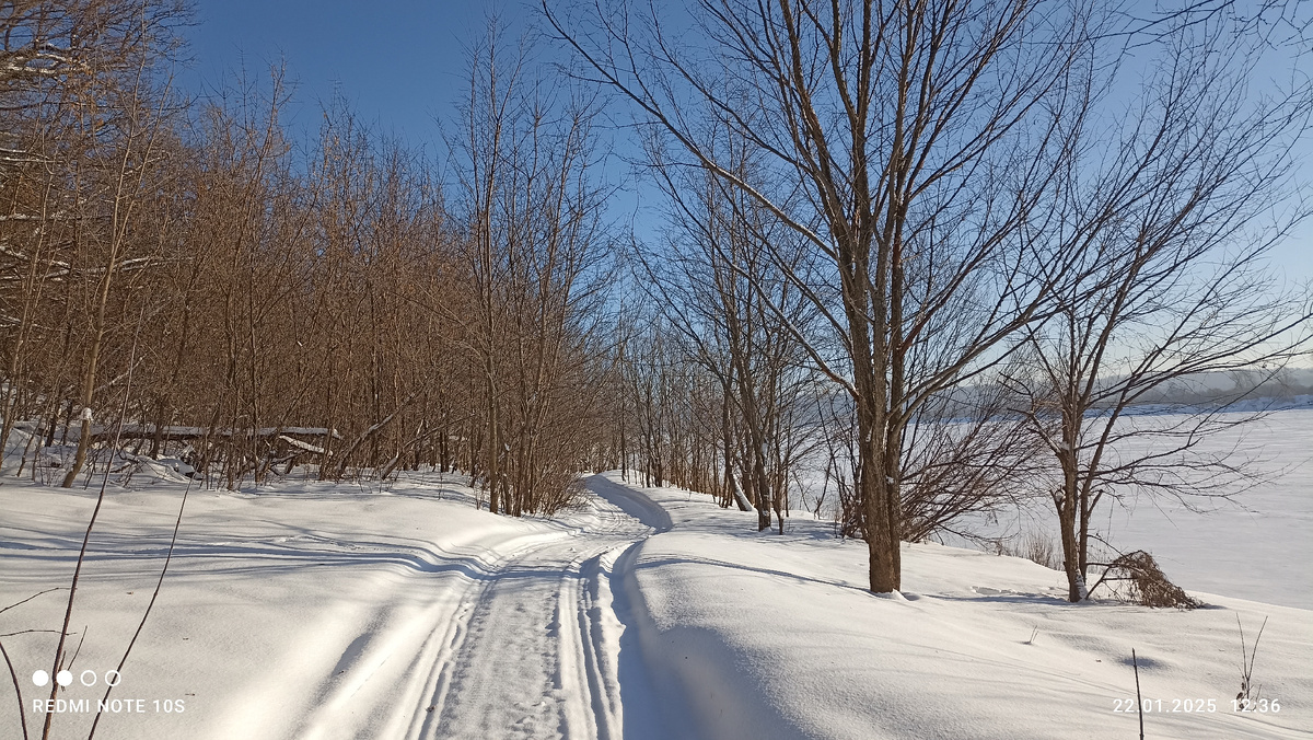 После пасмурных дней выглянуло солнце. Небо стало голубым. Фото автора.