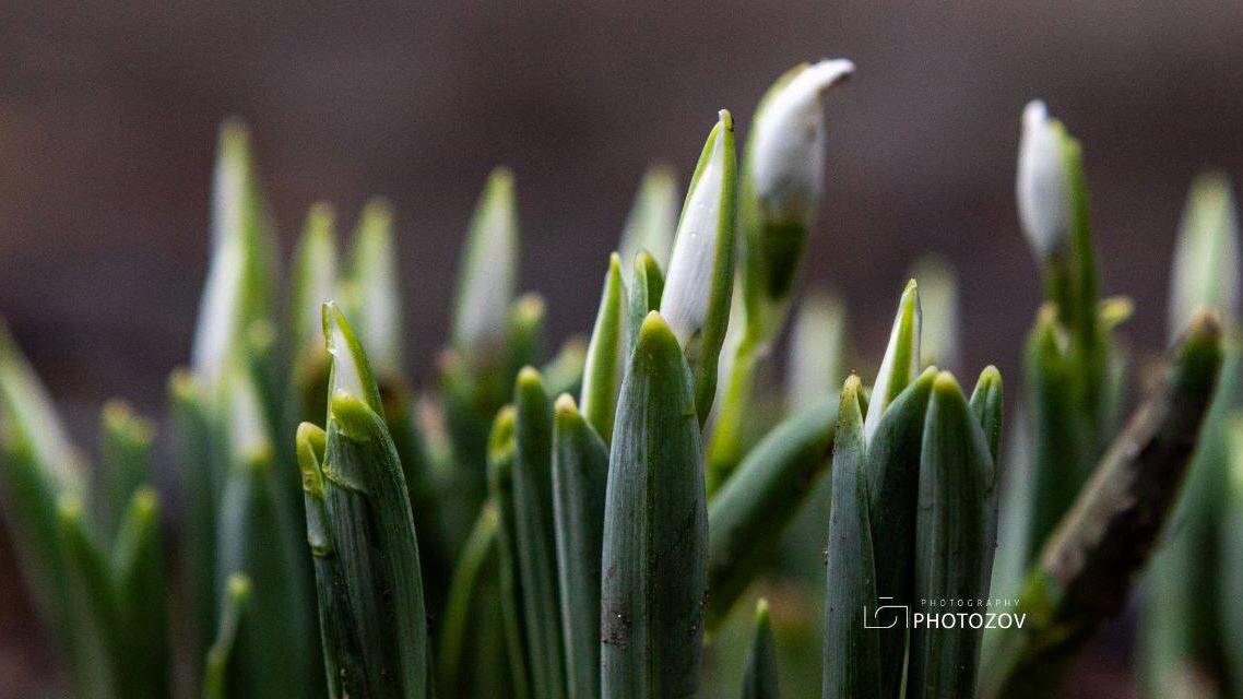    Фото: t.me/rusmuseum/Олег Золото