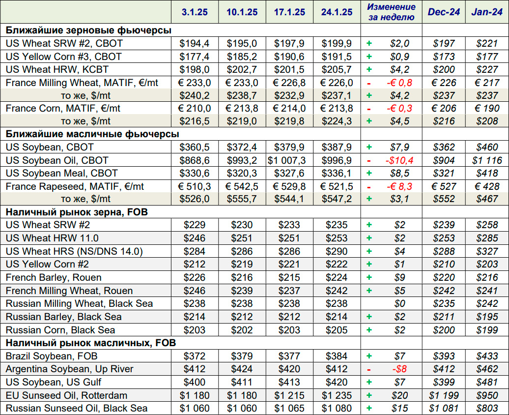 Ближайшие зерновые и масличные фьючерсы, наличный рынок зерна и масличных FOB 24.01.2025