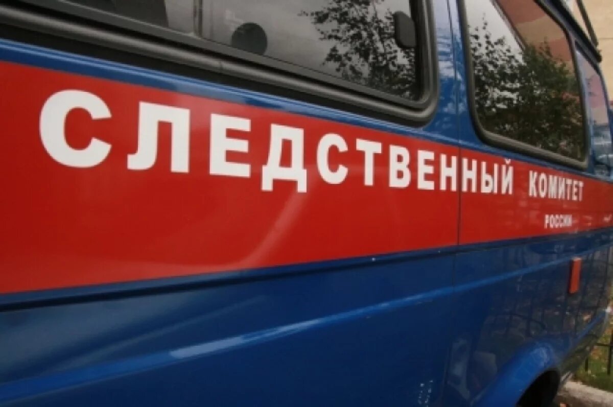    СК Башкирии возбудил уголовное дело против избивших сверстников подростков