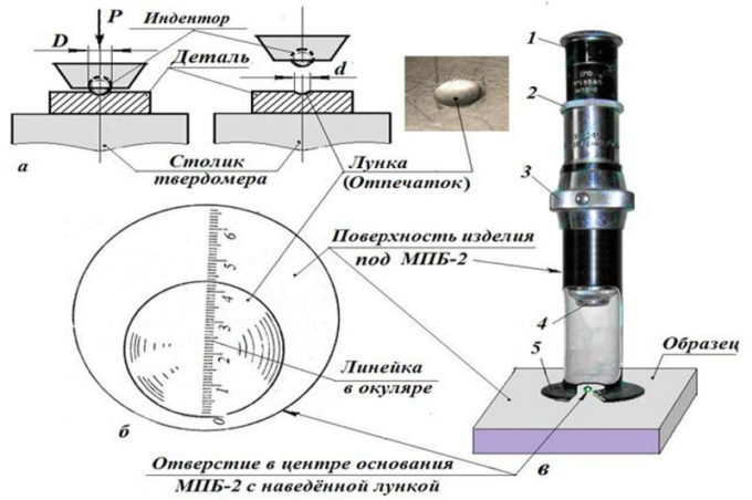 Для определения твёрдости древесины используется так называемый «метод Бриннеля».