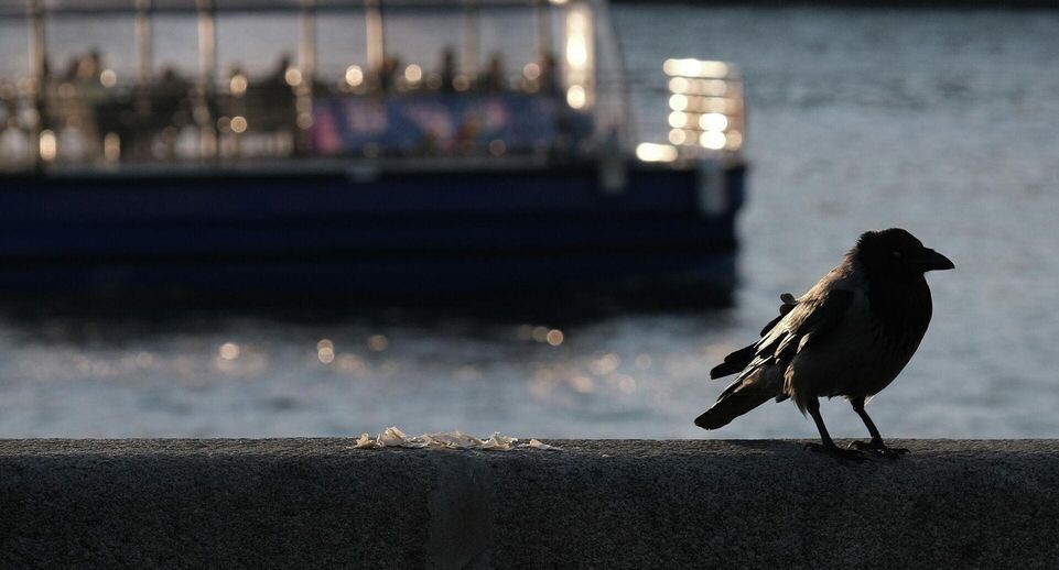    РИА «Новости»