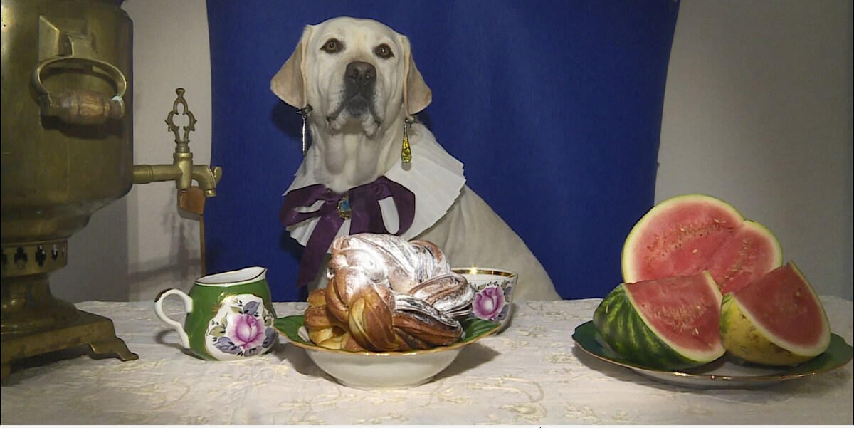     Красноярка фотографирует лабрадоров в образах героев известных картин