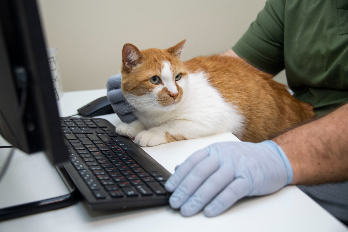 Отбираем вопросы подписчиков.