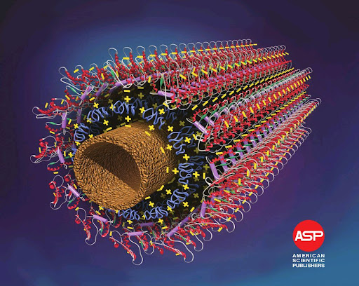 Структуры новейших биосенсоров построенных на базе микротрубок