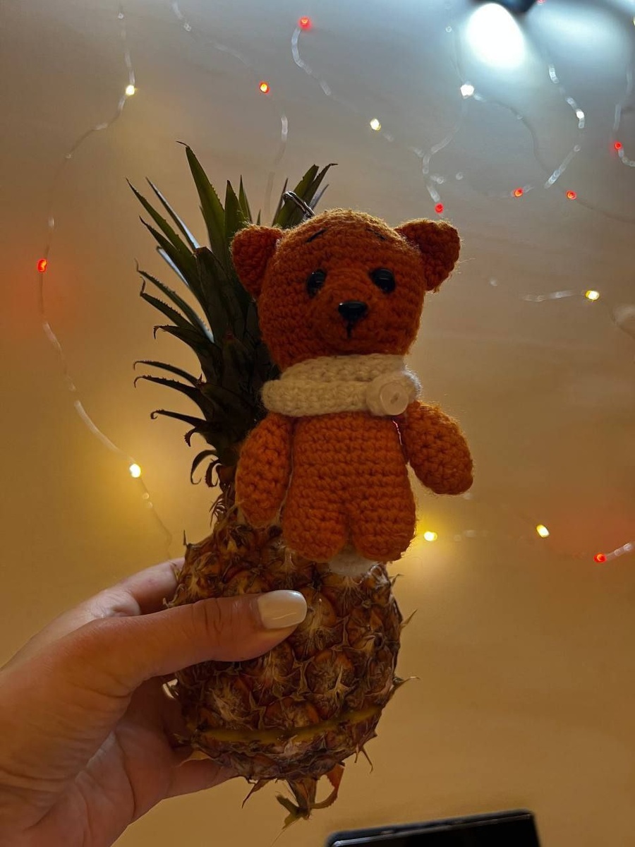 На фото талисман самой Олеси Владимировны — он сопровождает её во всех путешествиях