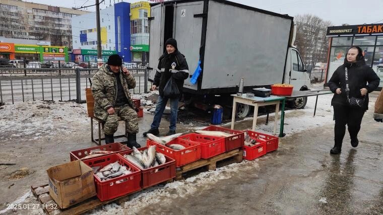    Фото: Администрация города Ульяновска