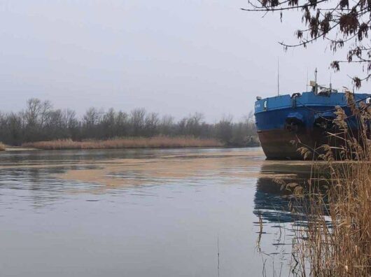    масляное пятно в Аксае // фото: Минприроды Ростовской области