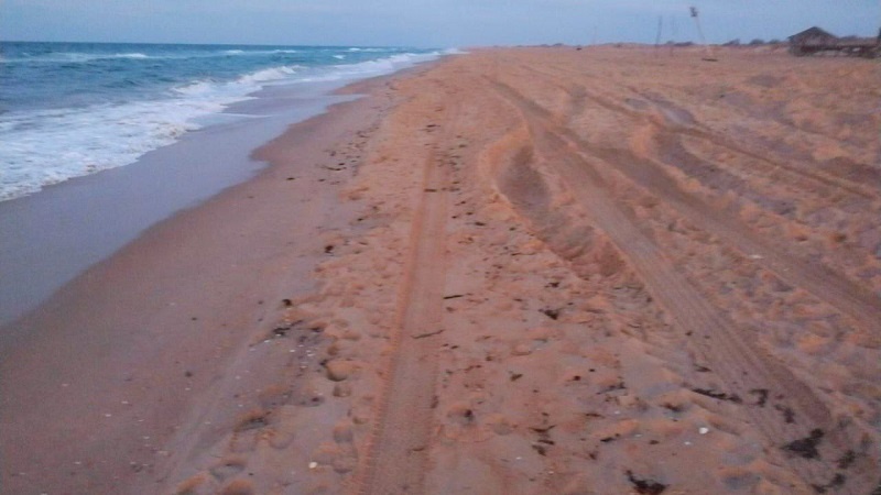    Фото: пресс-служба администрации Краснодарского края