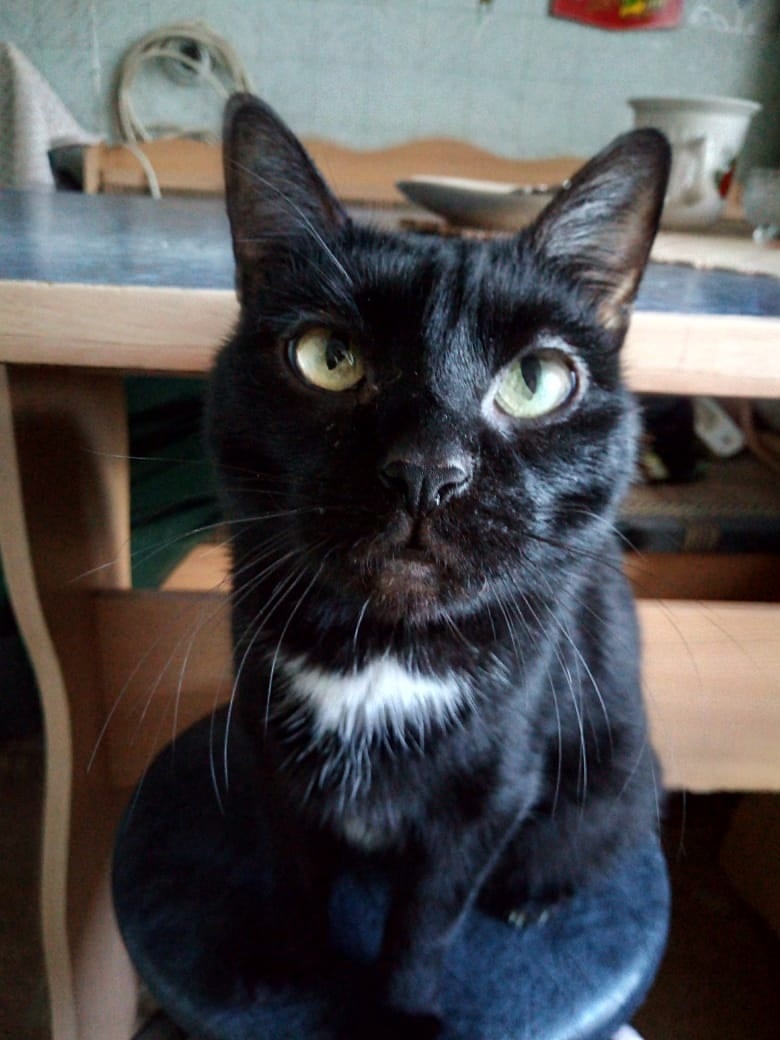 К экзекуции готов!