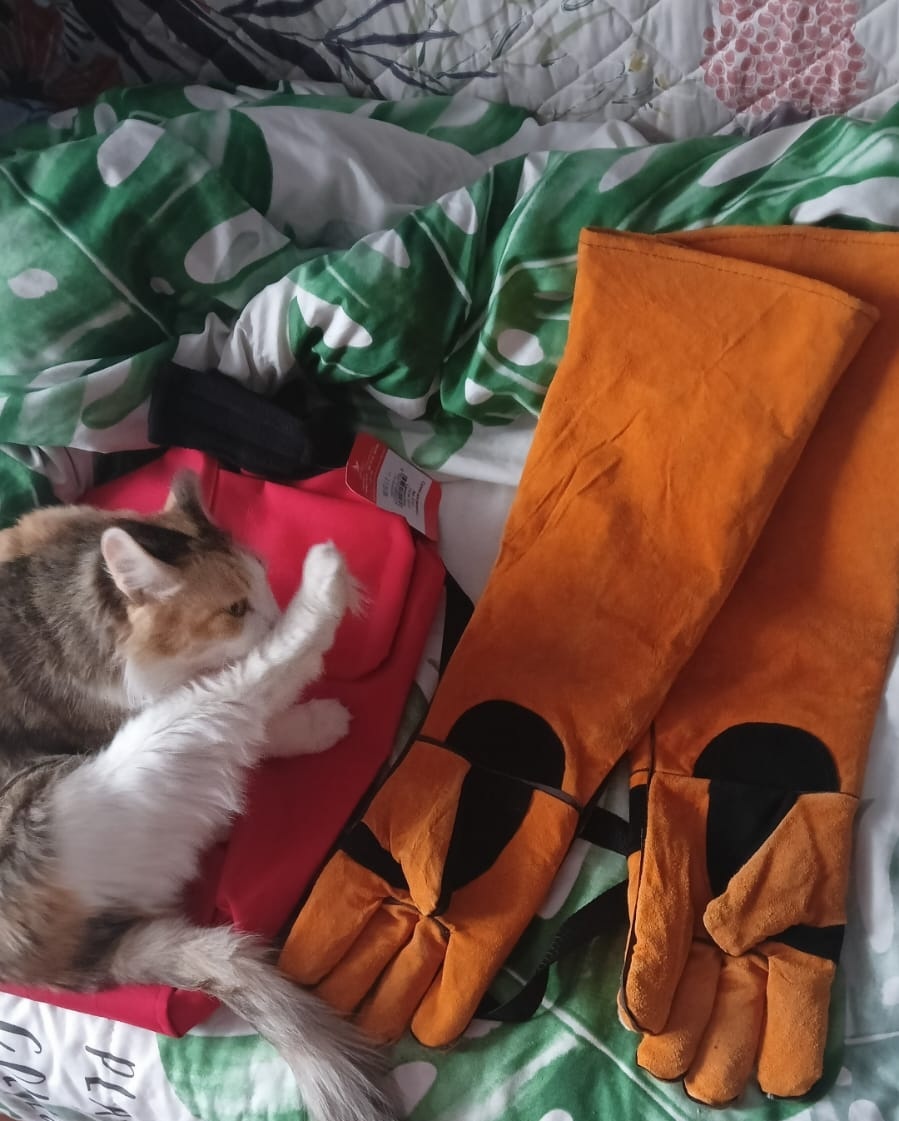 Бася приватизирует фиксатор.