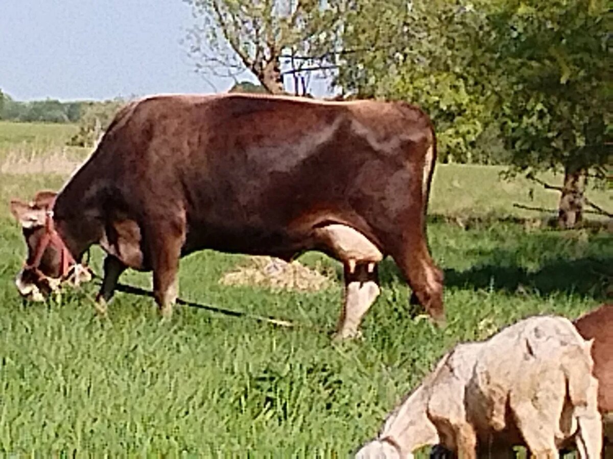 Скорее бы лето.