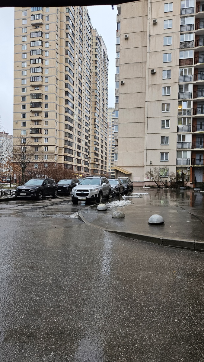 Во дворе (фотография автора) 28.01.2025