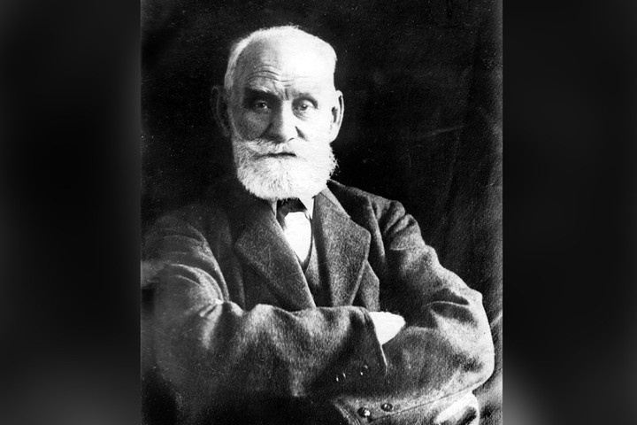  Фото © Wikipedia / Общественное достояние