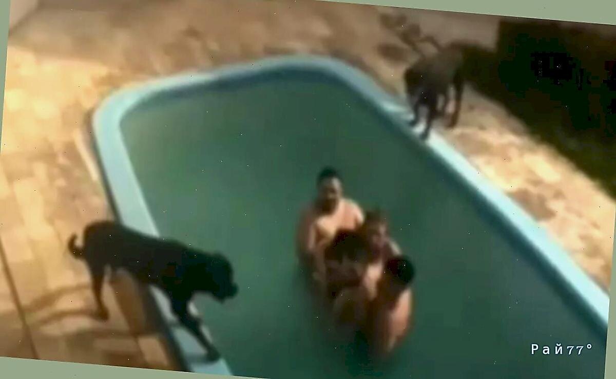   Фото - скриншот с видео, снятого на месте происшествия