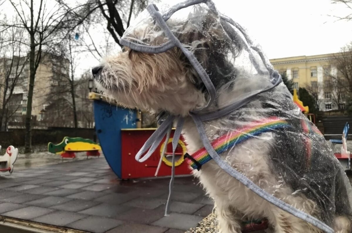    В Пскове побит пятилетний температурный рекорд