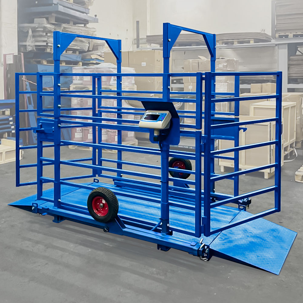 Весы для КРС