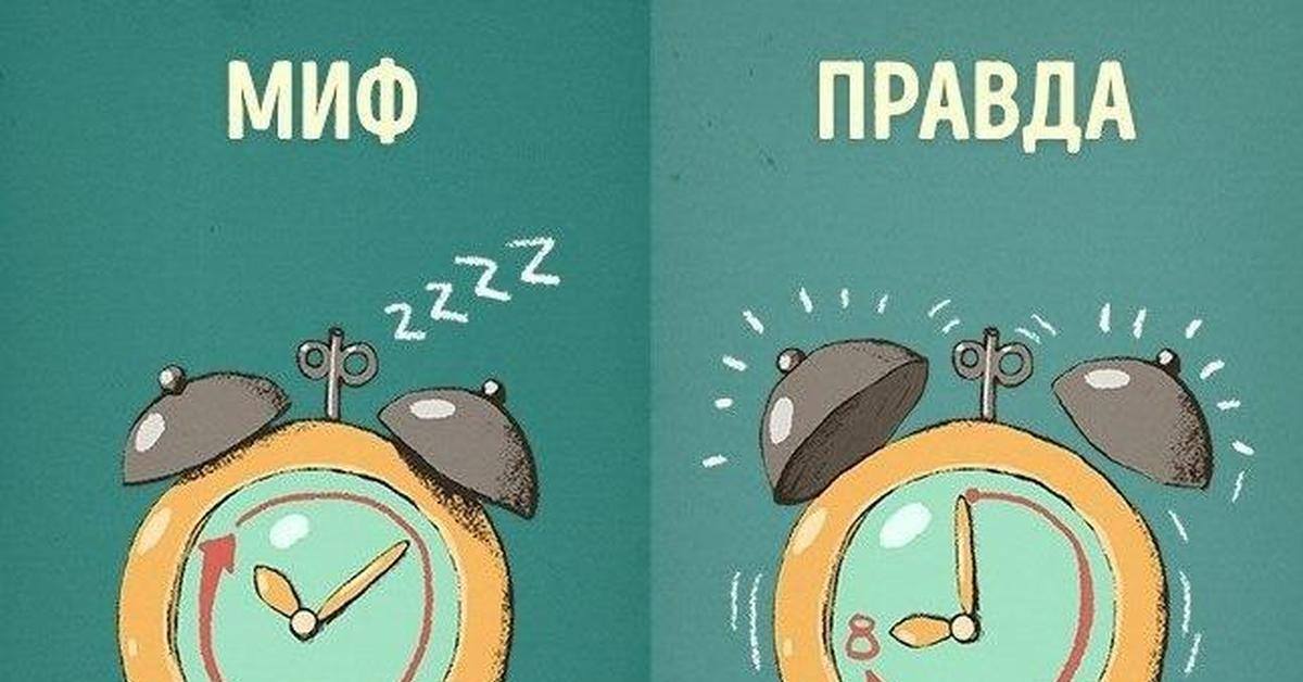 Миф или реальность 2. Миф или реальность 2