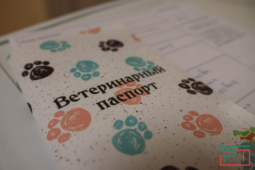 Фото Юлии Бидун, «РТ»