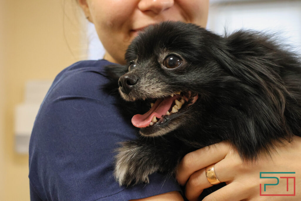 Фото Юлии Бидун, «РТ»