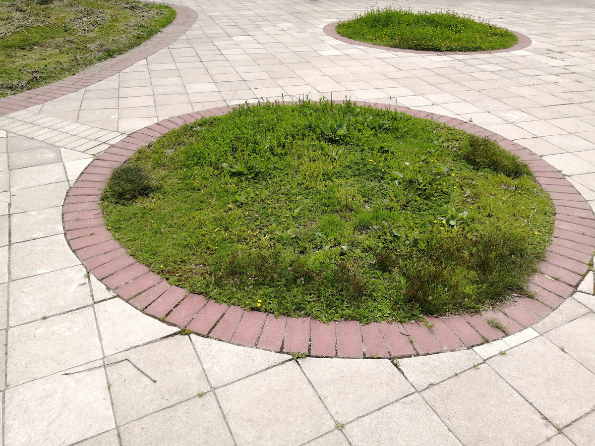 Вставка в мощение. Не садовый вариант, но как иллюстрация годится