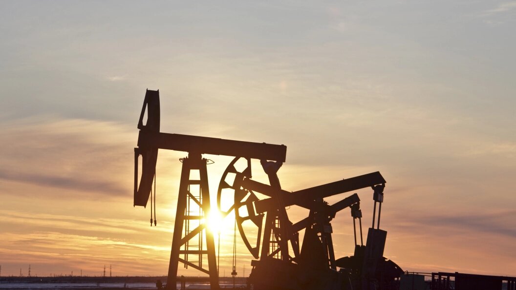    Фото: Nikolay Gyngazov/Global Look Press