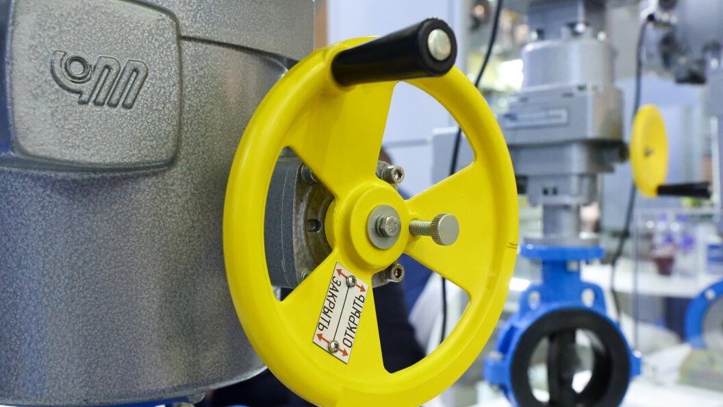    ФОТО: Petrov Sergey/Globallookpress