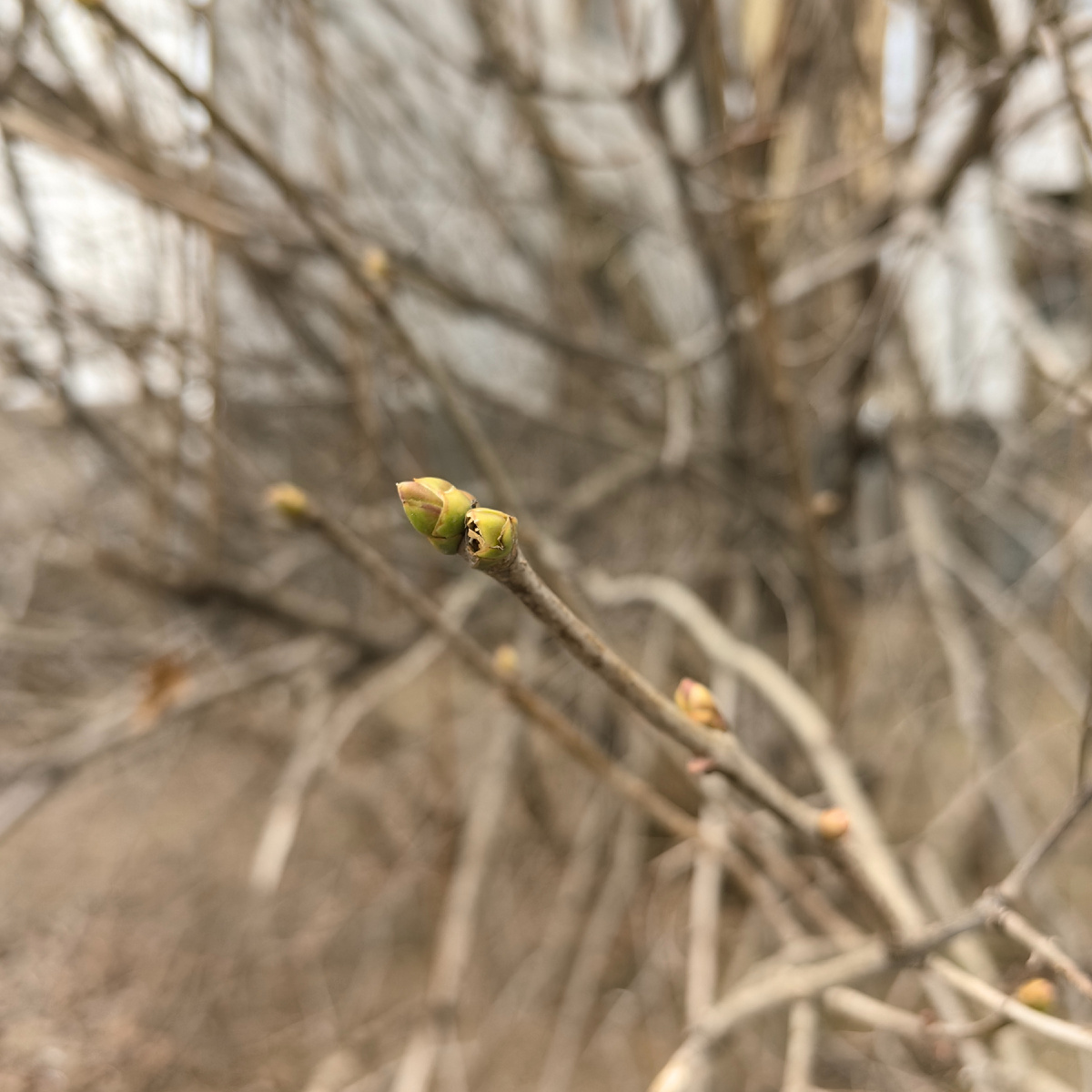 29 января 2025 г.