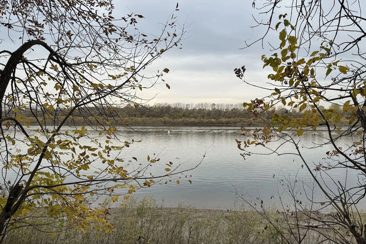 Фото: UfacityNews.ru