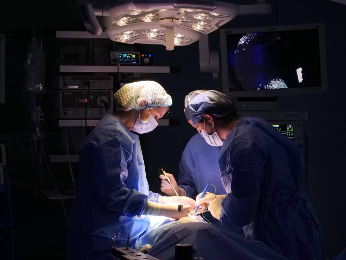 Девушки принимали участие в ветлабе (это учебные операции на живых тканях)