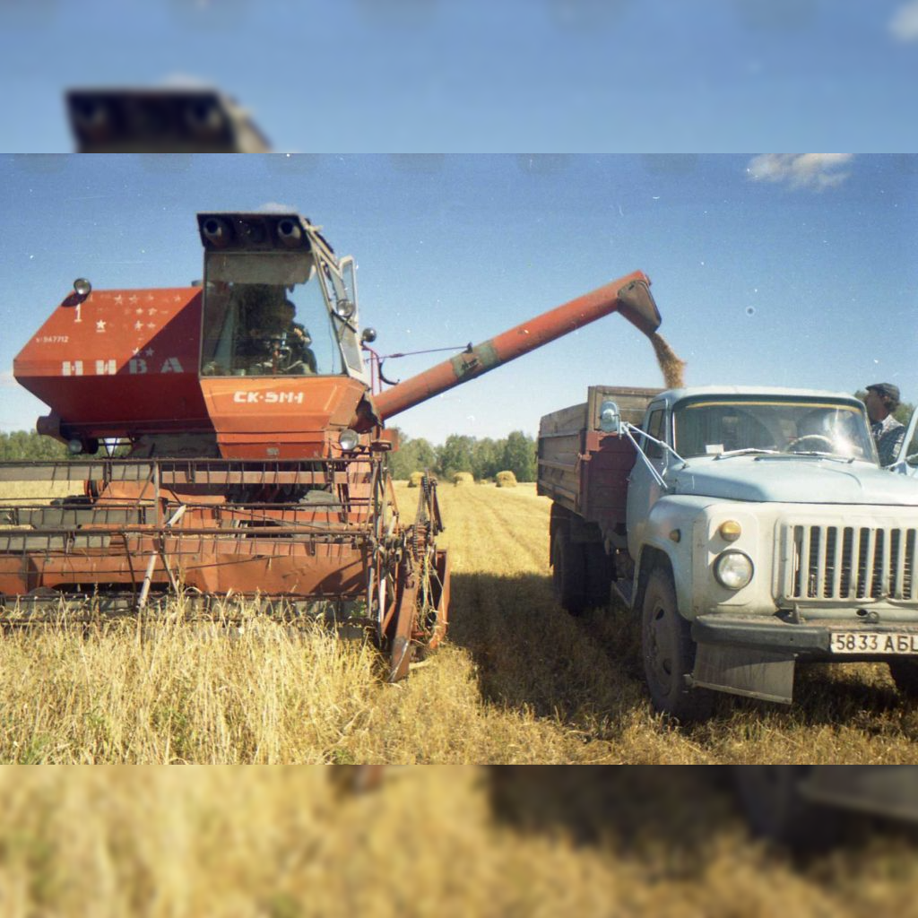 Источник фото: https://котовчанин.рф/2018/07/начало-уборочной/уборочная/