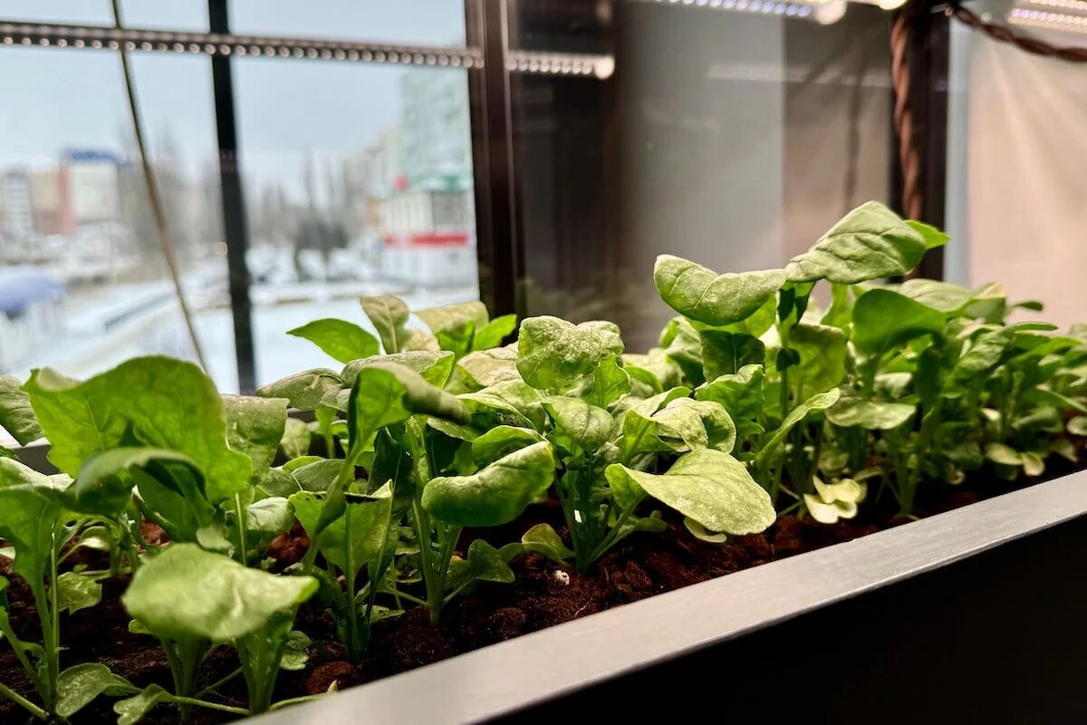 Фото: UfaTime.ru