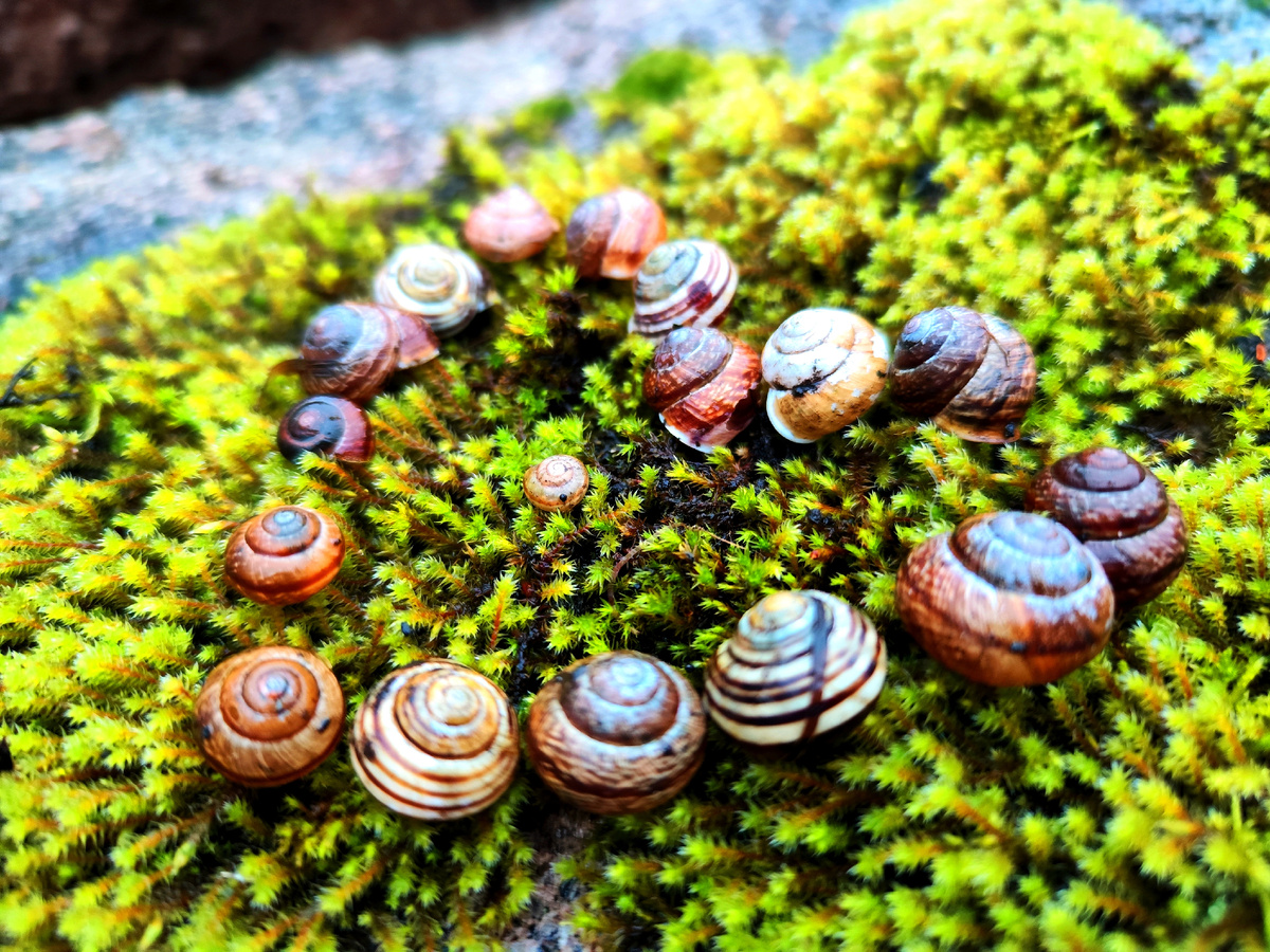 Фото из личного архива 