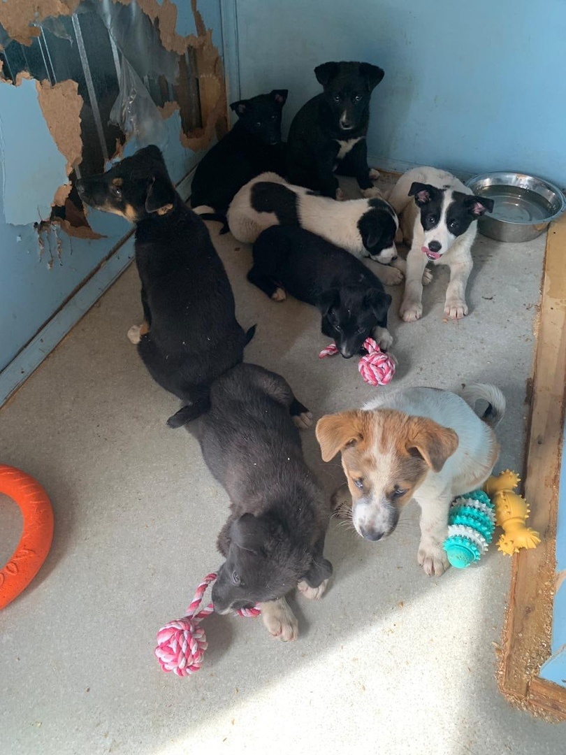 Для нас тогда это было реально страшно