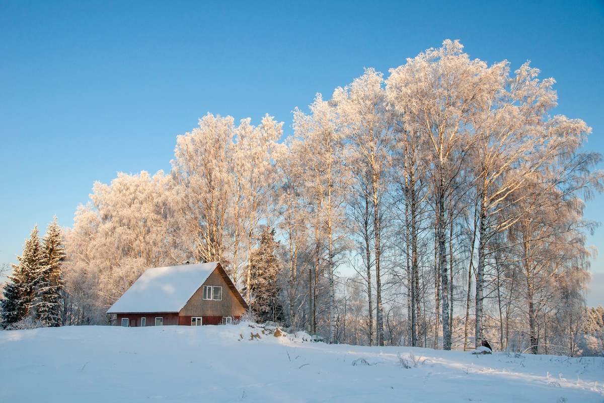 фото: Aleksey Smyshlyaev /Global Look Press