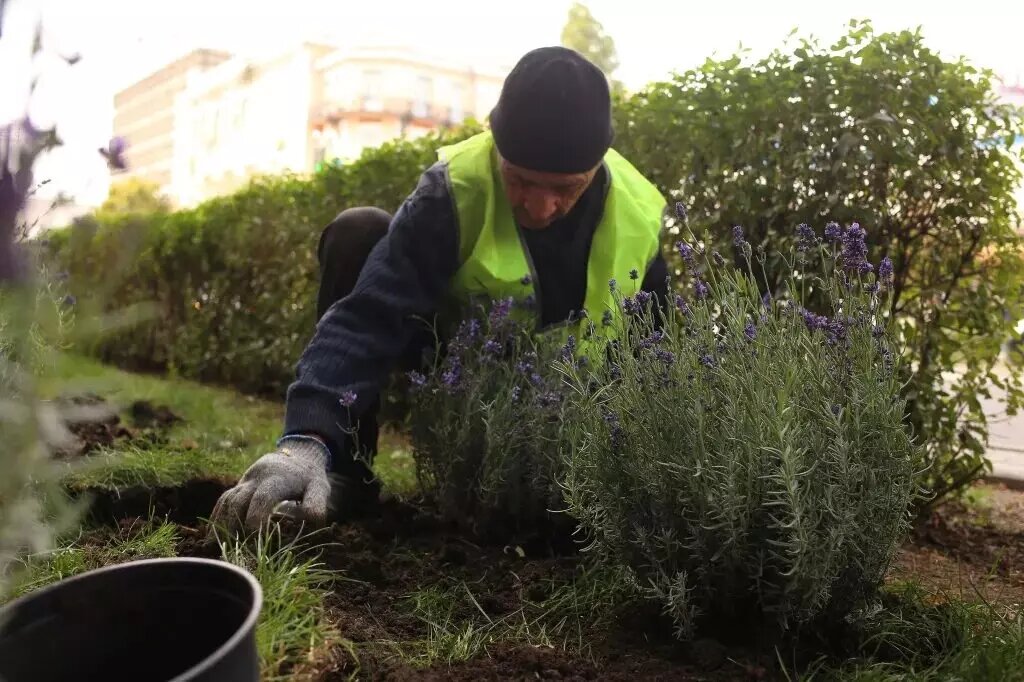     Автор: rostov-gorod.ru