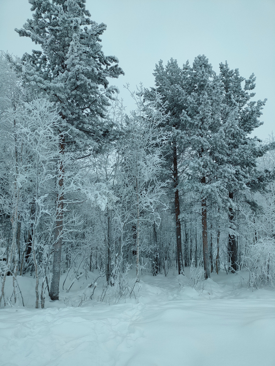 Фото автора. Визуально мечты