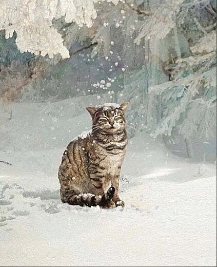 Иллюстрация Jane Crowther 