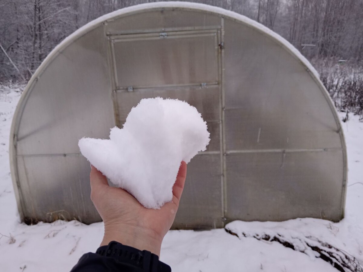 В середине января выпало немного снега.