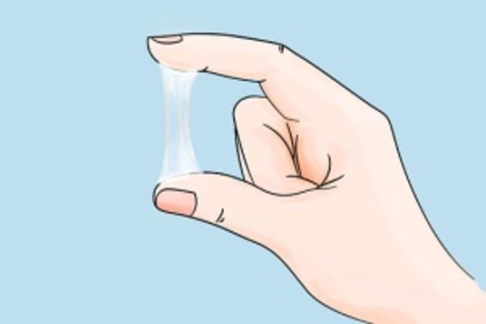 Как увеличить фертильность цервикальной слизи для зачатия