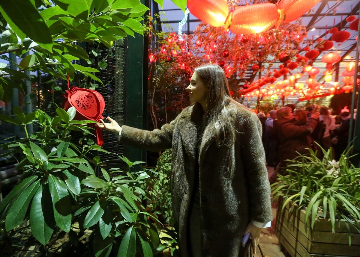 © АГН «Москва» / Артур Новосильцев