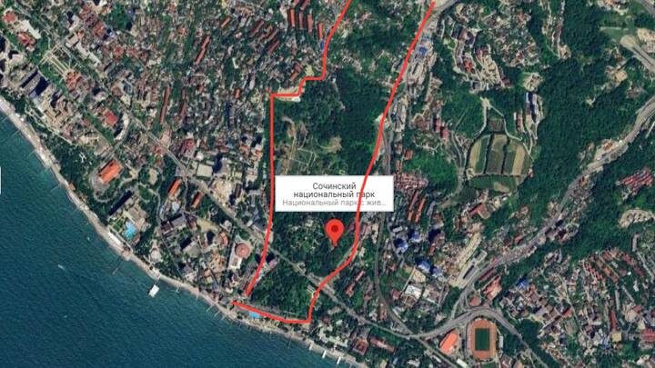  Фото: Яндекс Карты / скриншот