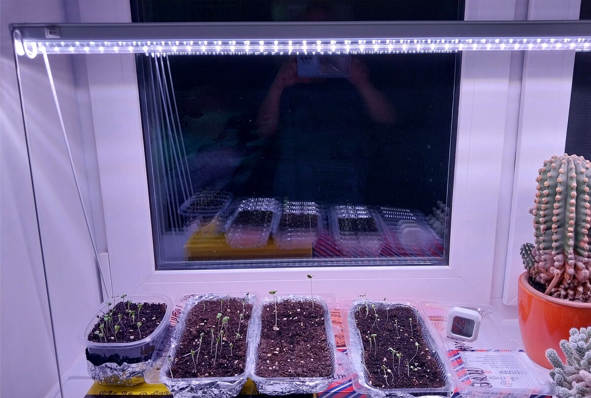 На улице темно, а у нас светло.