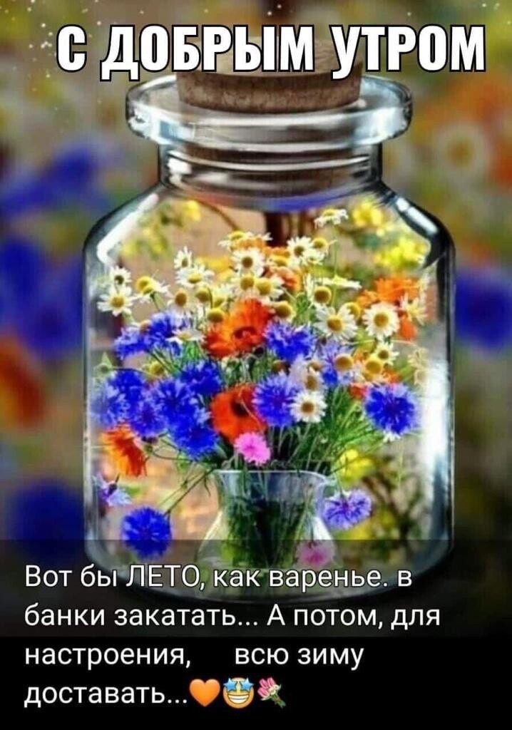 свободный доступ интернет