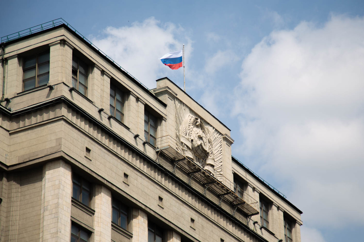 Фото: Общественная служба новостей