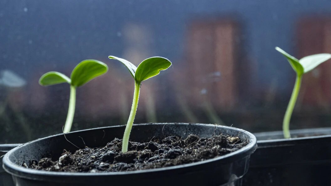    Konstantin Kokoshkin/Global Look Press