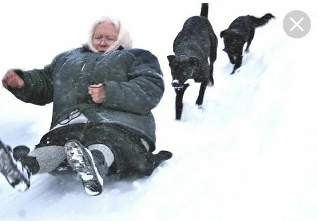 Фото из Яндекса