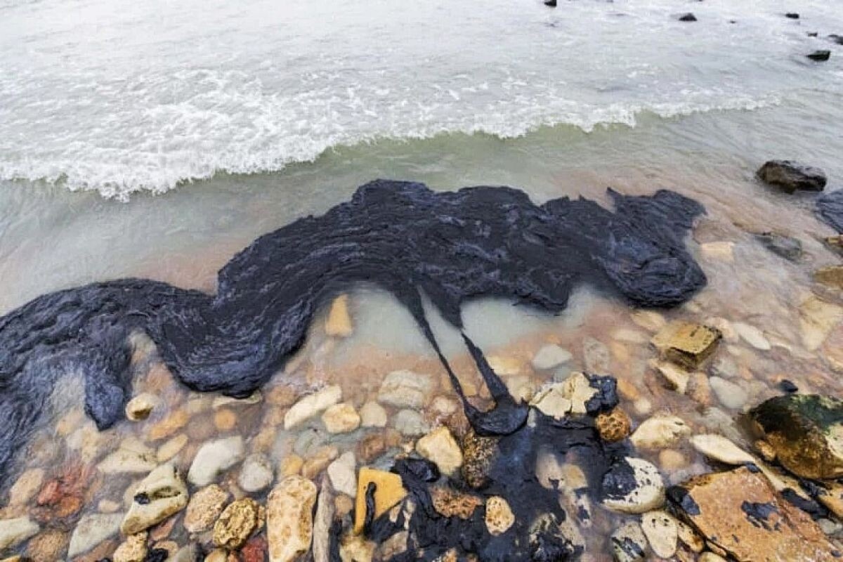 фото из открытого источника