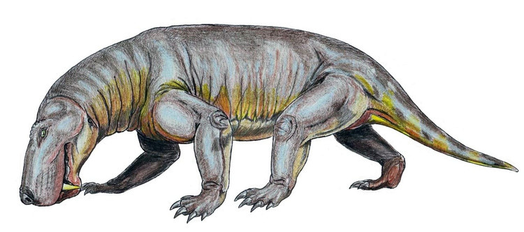 R.atrox от Дмитрия Богданова.