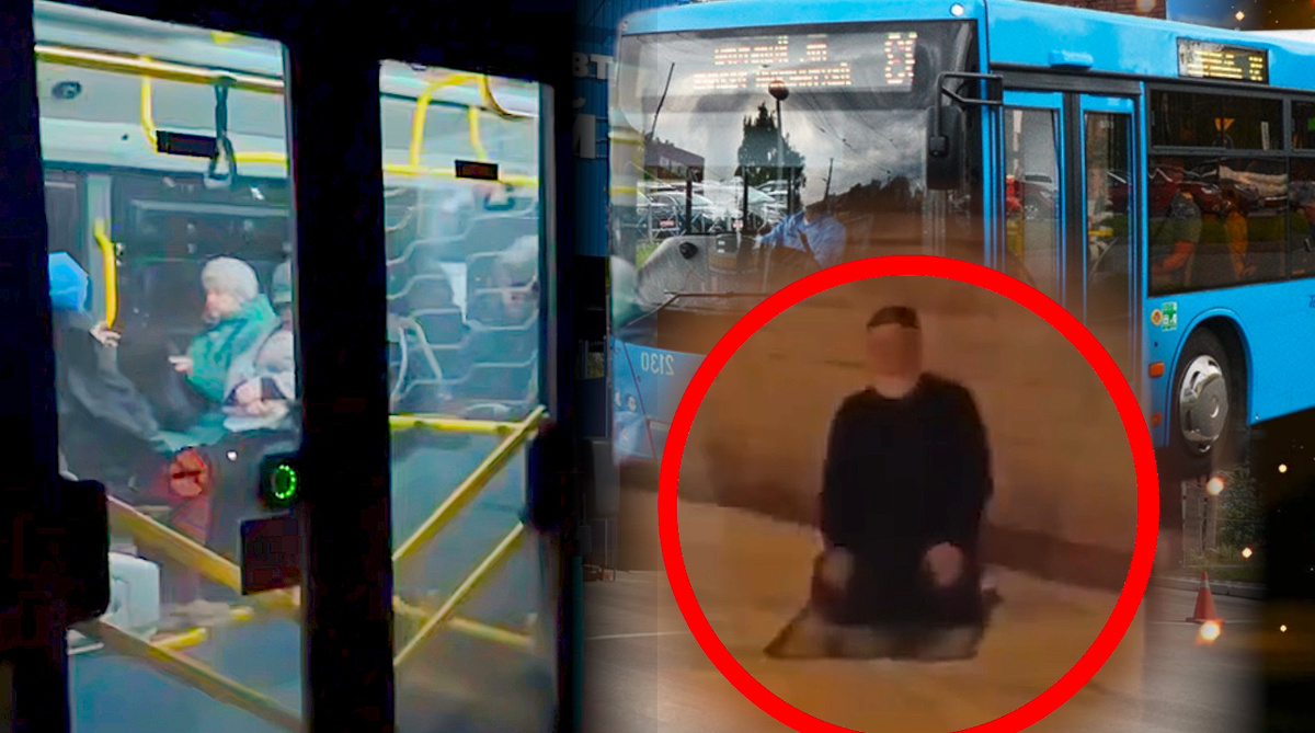 Коллаж автора 